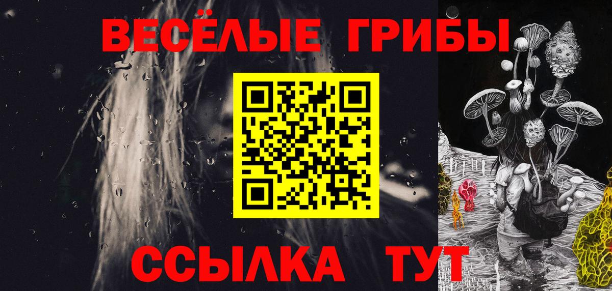 Нововоронеж  Галлюциногенные грибы ЛСД  Вход с VPN 