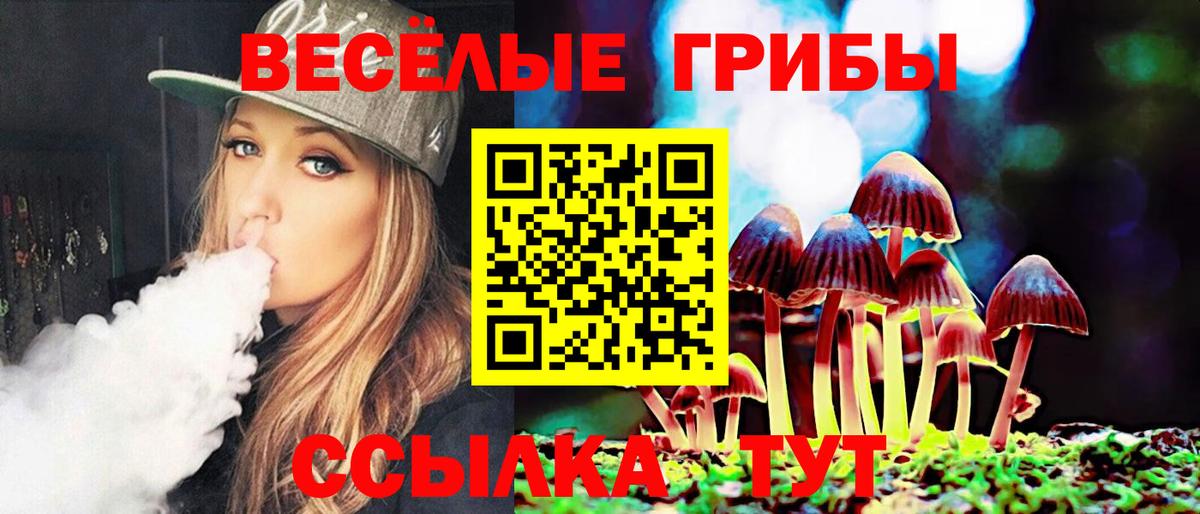 Псилоцибиновые грибы мицелий Нововоронеж